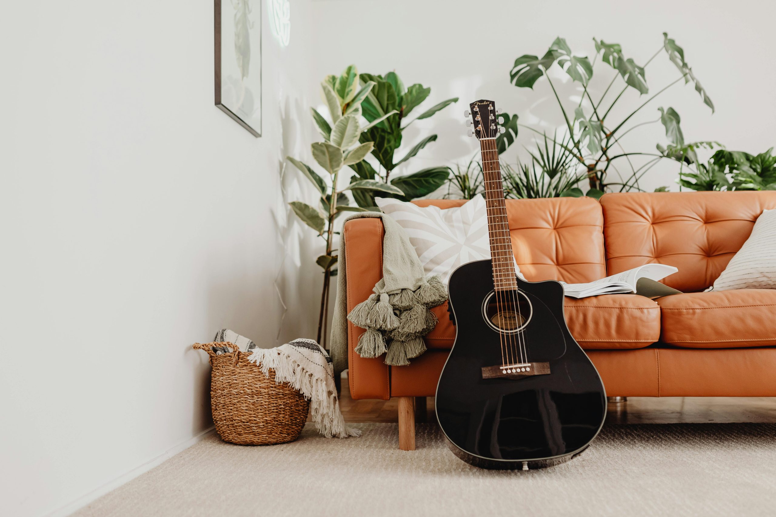 guitar sitting against couch surrounded by plants the reef apartments blog plants for apartment