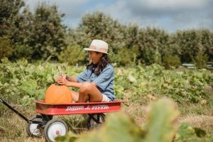 girl in wagon at pumpkin patch halloween events happening in jacksonville the reef blog